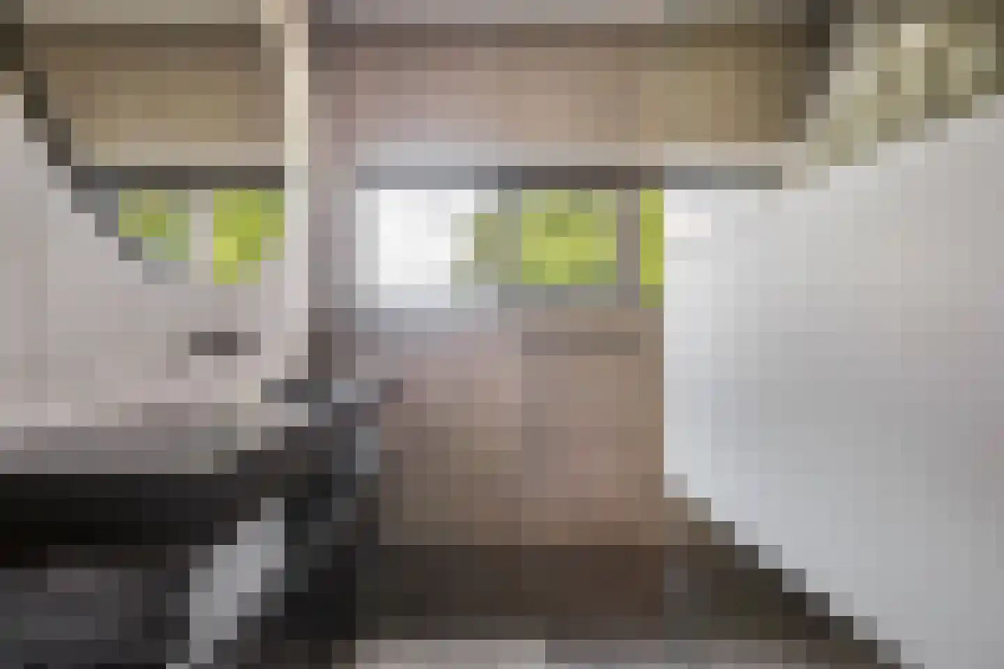 't Stort 22 Leens thumbnail 20