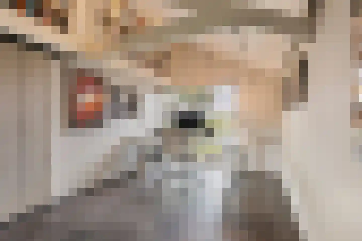 't Stort 22 Leens thumbnail 23