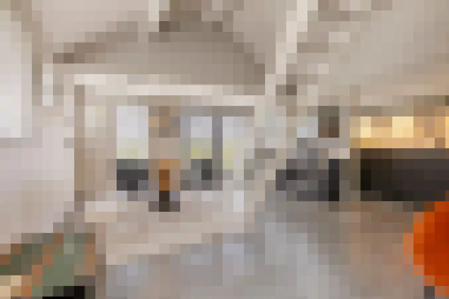 't Stort 22 Leens thumbnail 24
