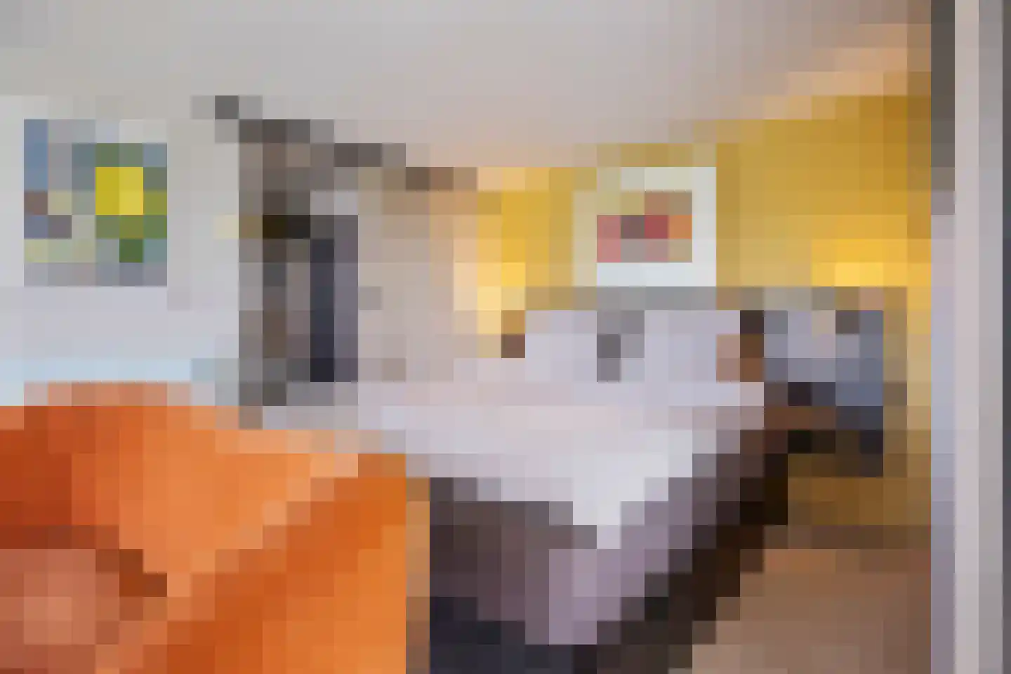 't Stort 22 Leens thumbnail 26