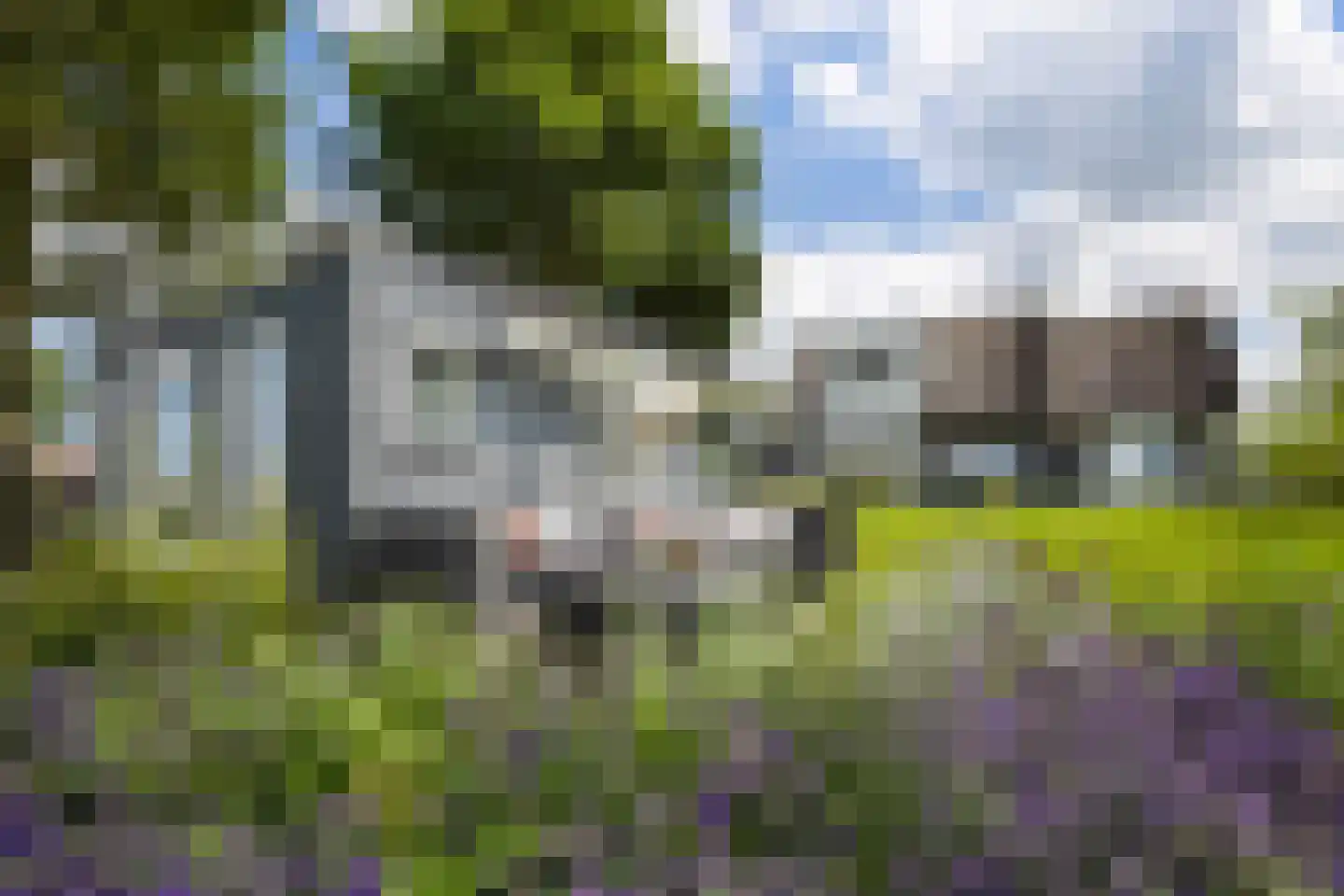 't Stort 22 Leens thumbnail 30
