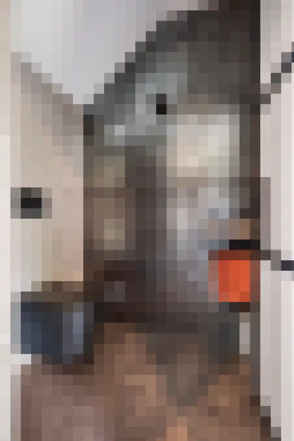 't Stort 22 Leens thumbnail 5