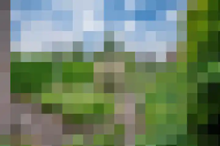 't Straatje 35 Groessen thumbnail 22