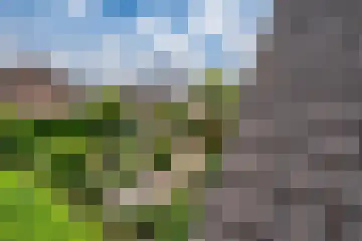 't Straatje 35 Groessen thumbnail 23