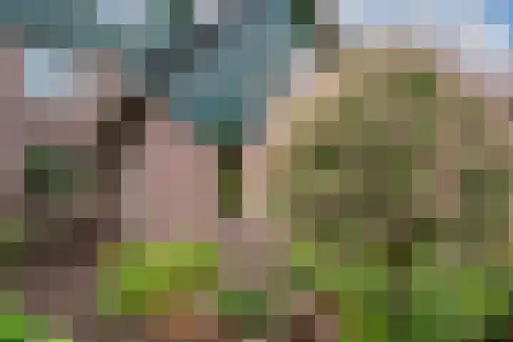 't Straatje 35 Groessen thumbnail 24