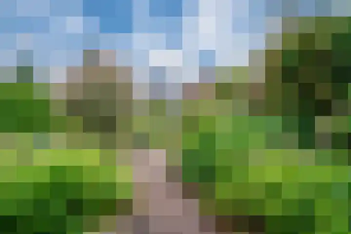 't Straatje 35 Groessen thumbnail 25
