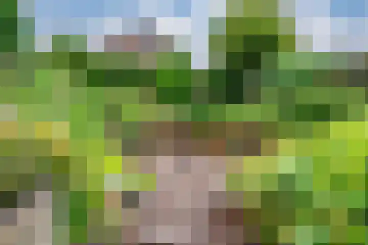 't Straatje 35 Groessen thumbnail 26