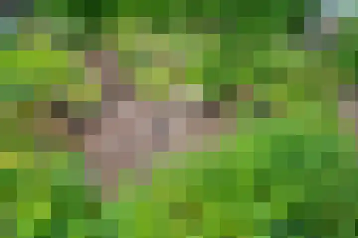 't Straatje 35 Groessen thumbnail 27