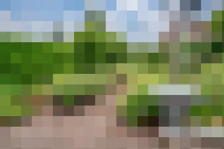 't Straatje 35 Groessen thumbnail 28