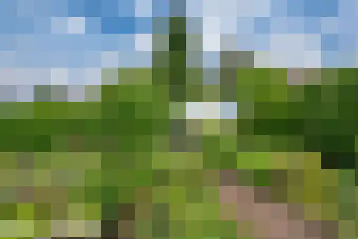 't Straatje 35 Groessen thumbnail 29