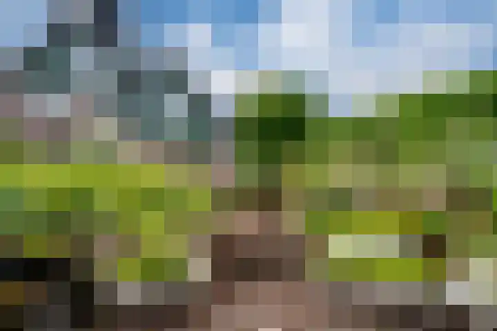 't Straatje 35 Groessen thumbnail 30