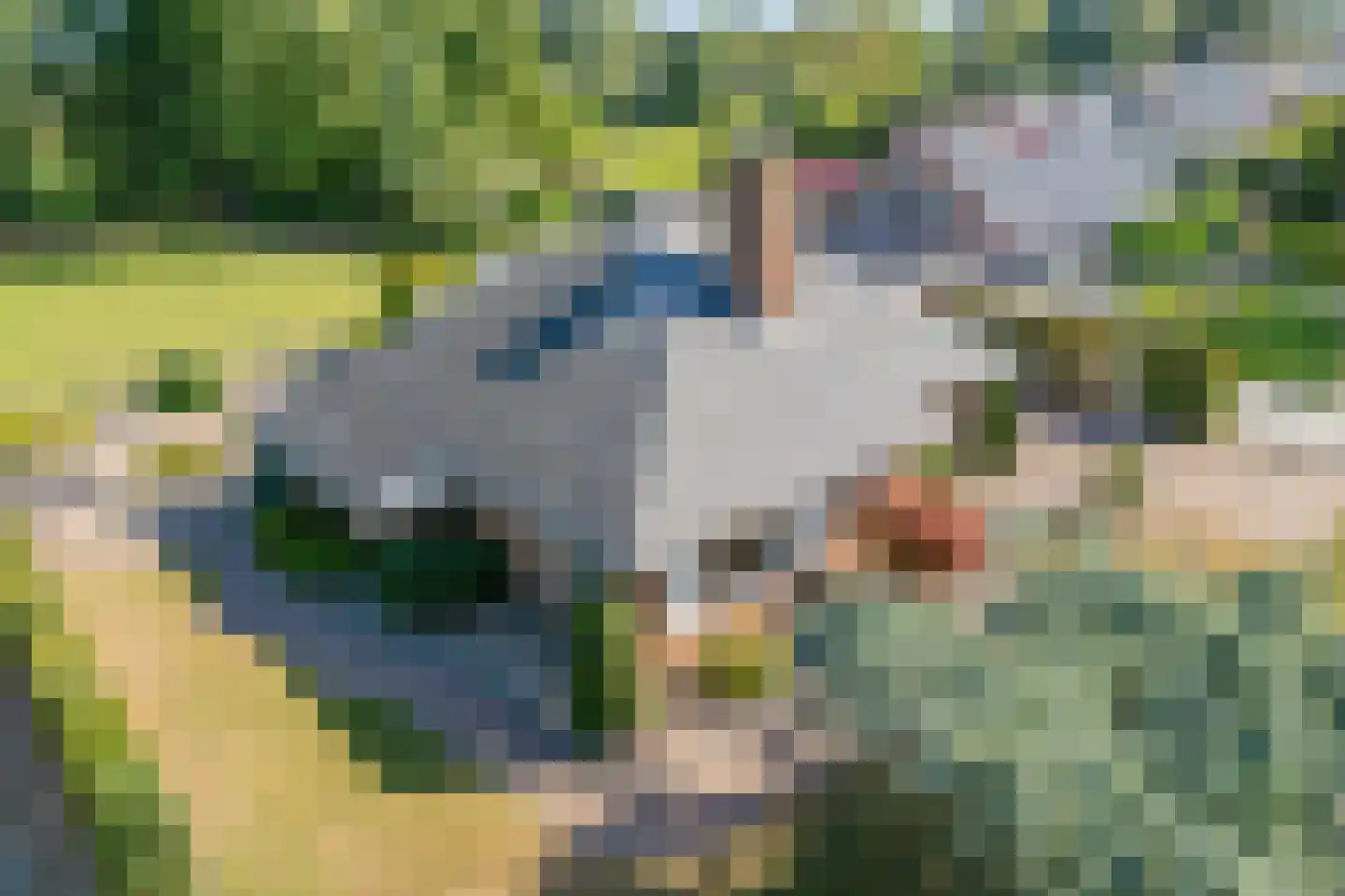 't Sumpel 52 Den Ham thumbnail 11