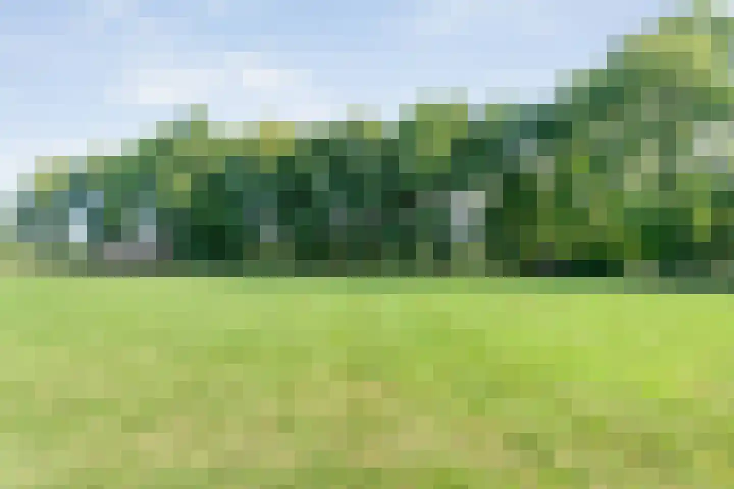 't Sumpel 52 Den Ham thumbnail 27