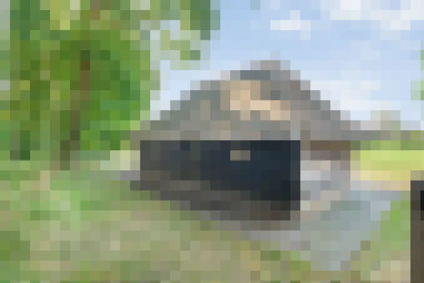 't Sumpel 52 Den Ham thumbnail 55
