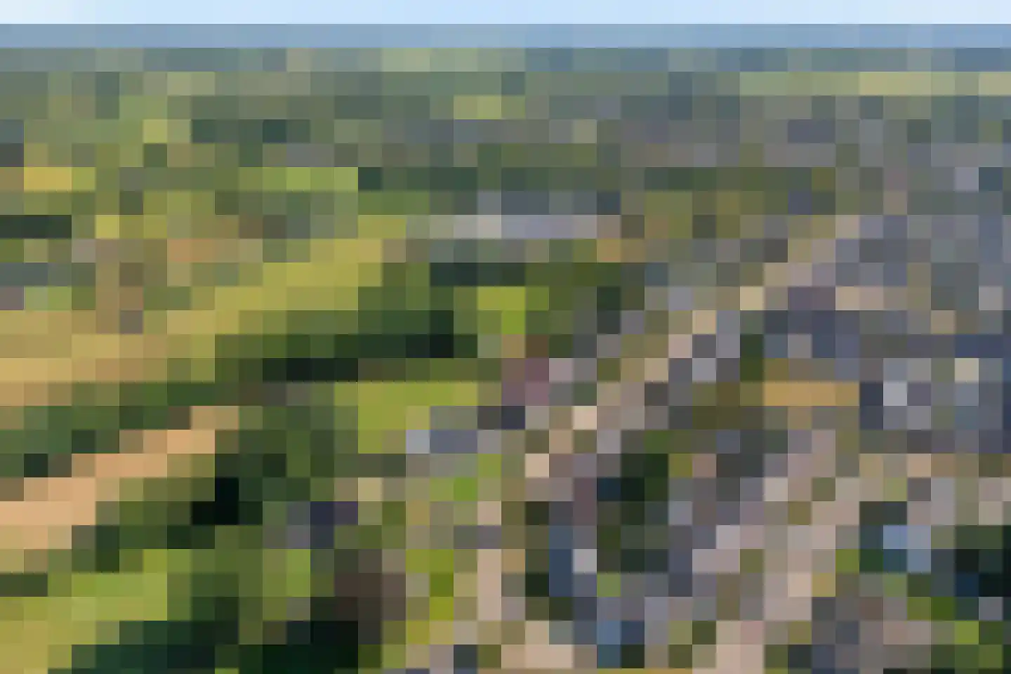 't Sumpel 52 Den Ham thumbnail 72