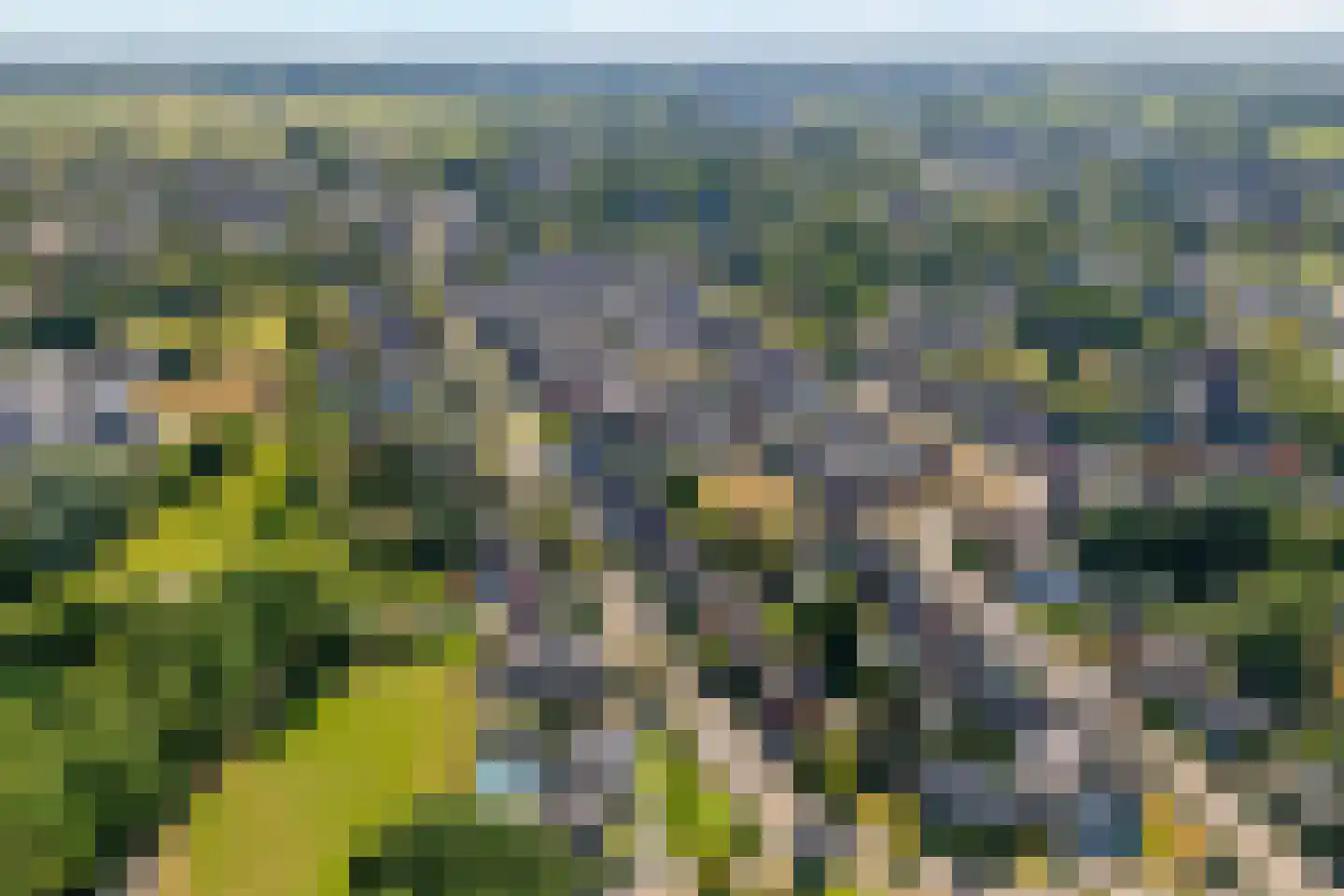 't Sumpel 52 Den Ham thumbnail 73