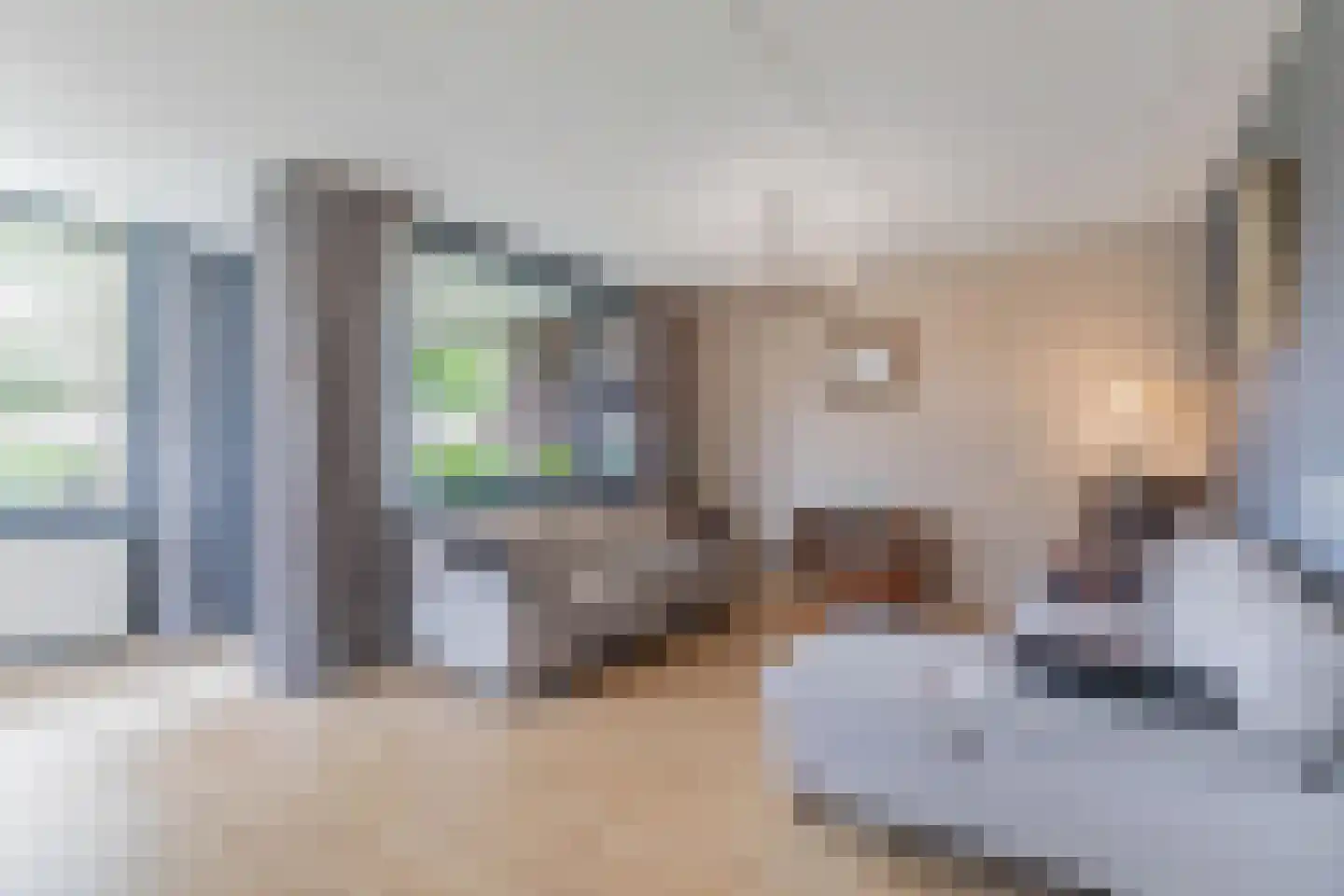 't Swin 2 12 Drachten thumbnail 12