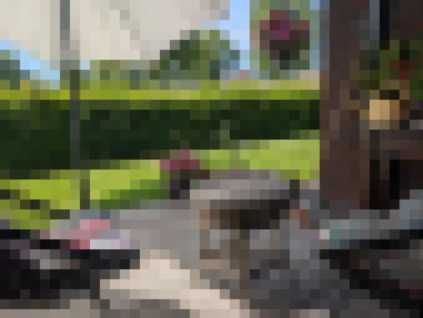 't Swin 2 12 Drachten thumbnail 19