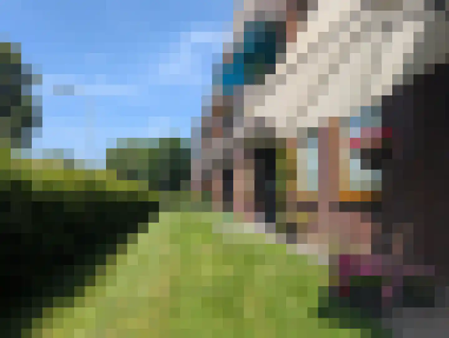 't Swin 2 12 Drachten thumbnail 20