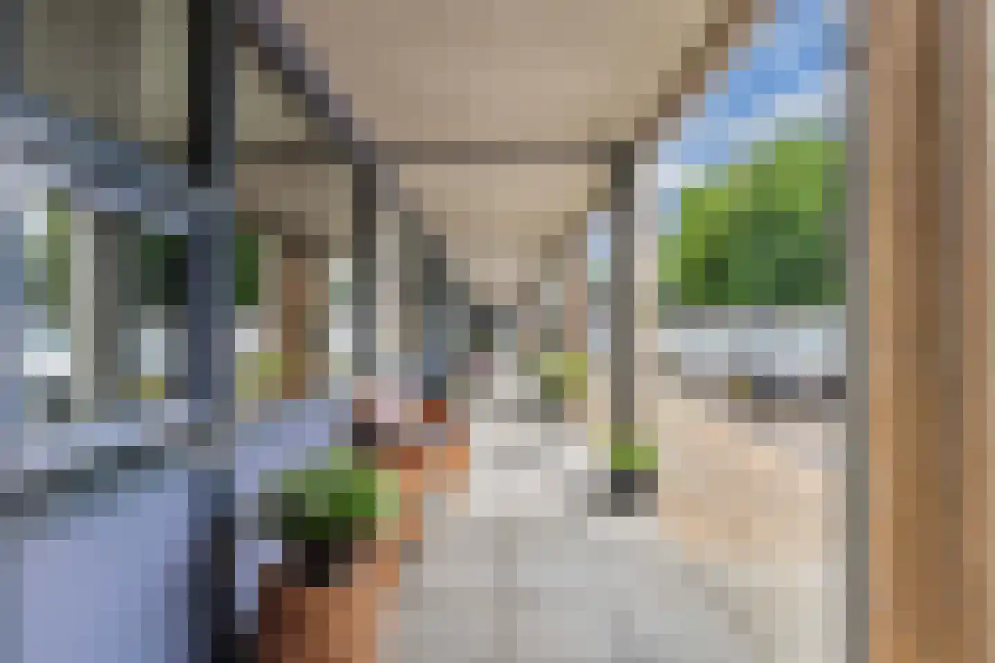 't Swin 2 12 Drachten thumbnail 31