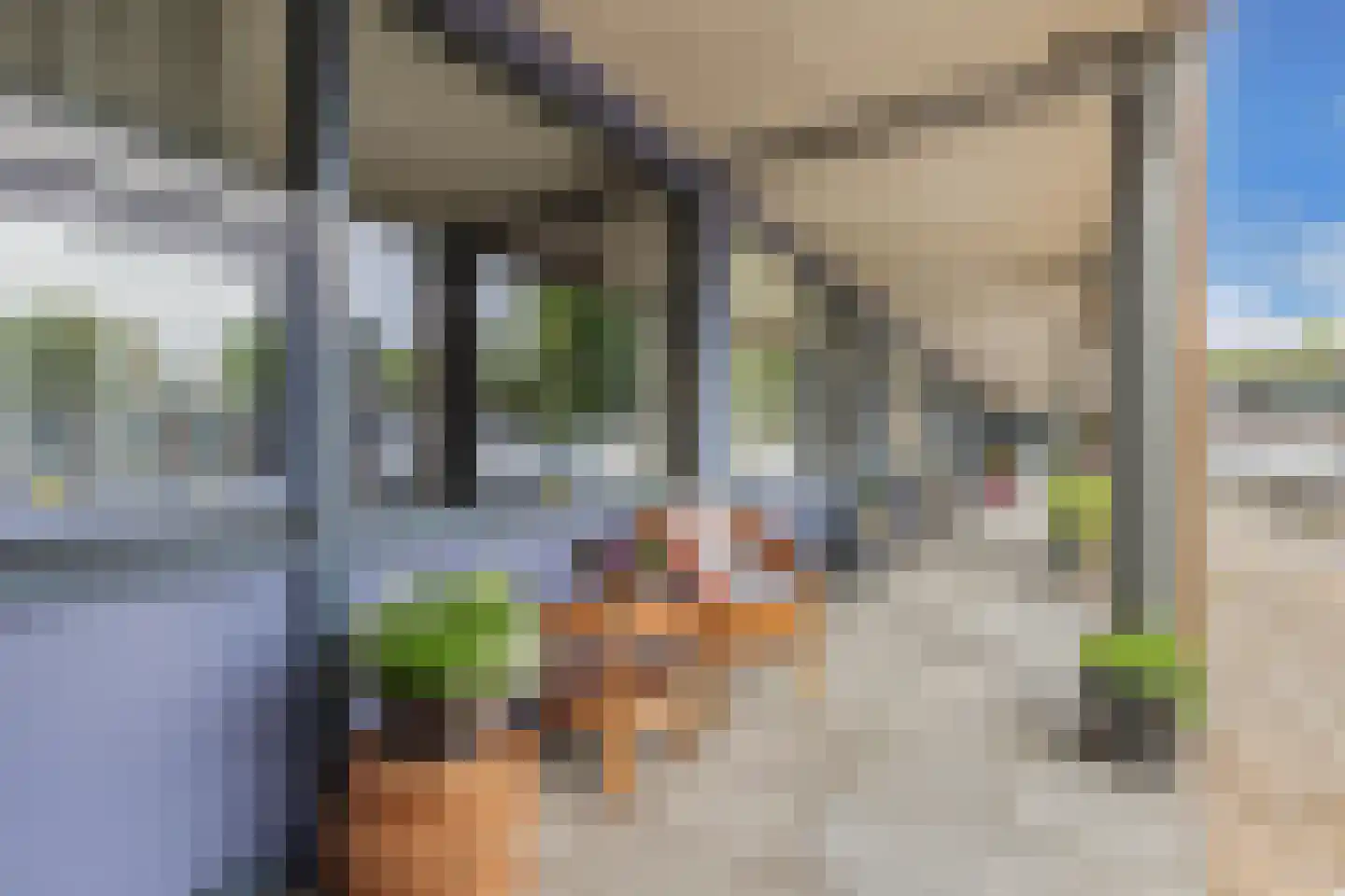 't Swin 2 12 Drachten thumbnail 9