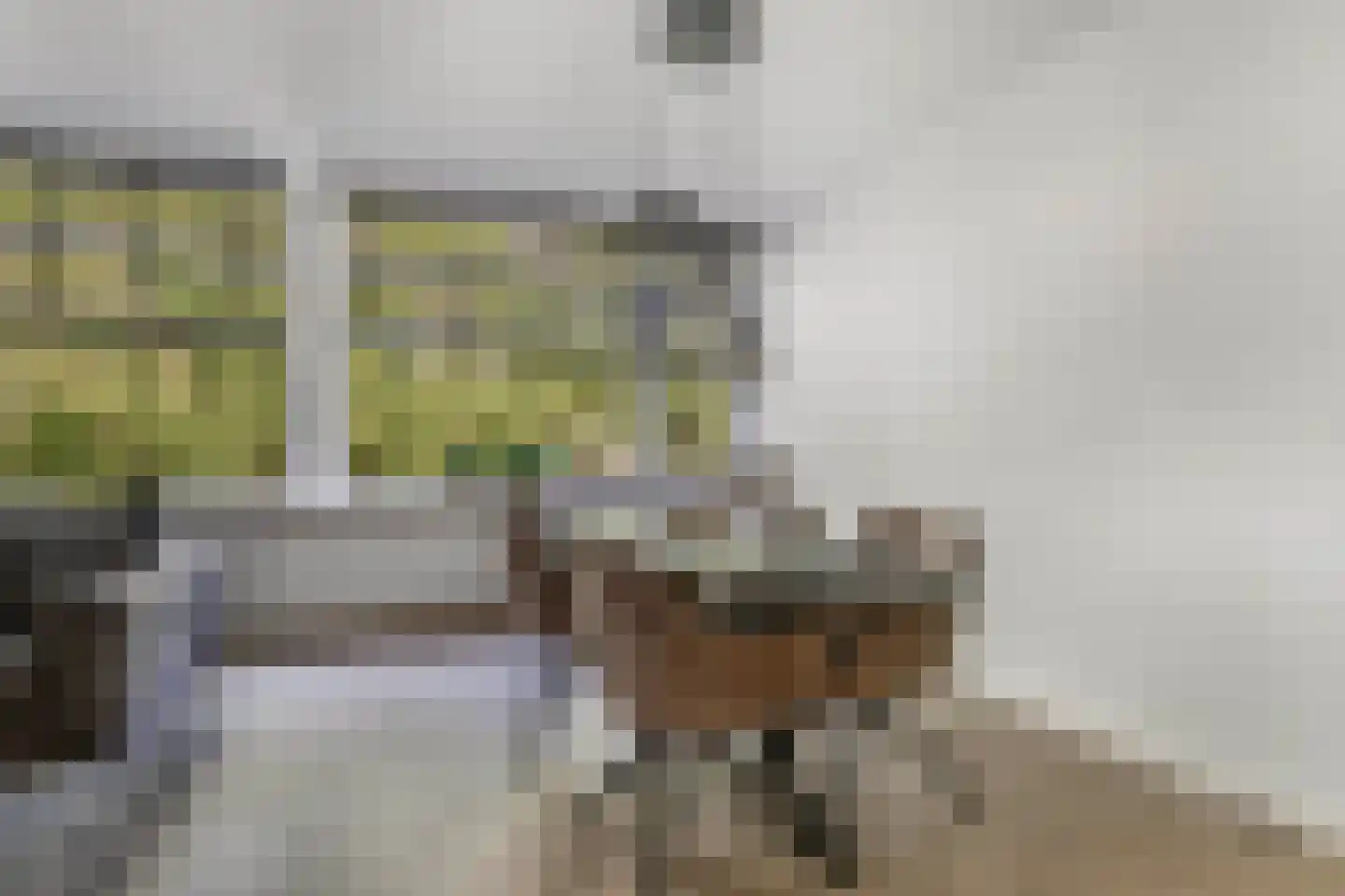 't Swin 3 Drachten thumbnail 10