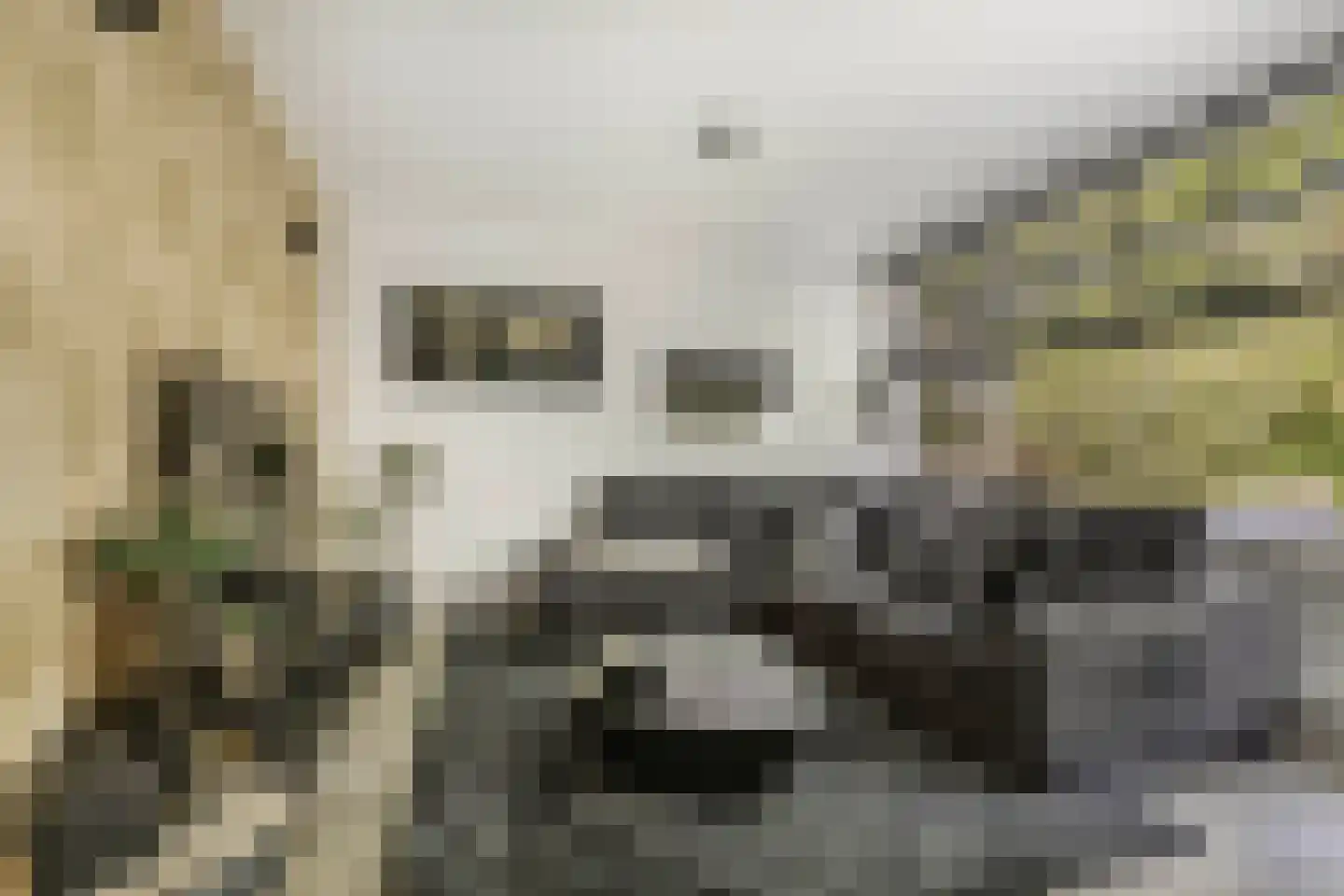 't Swin 3 Drachten thumbnail 12