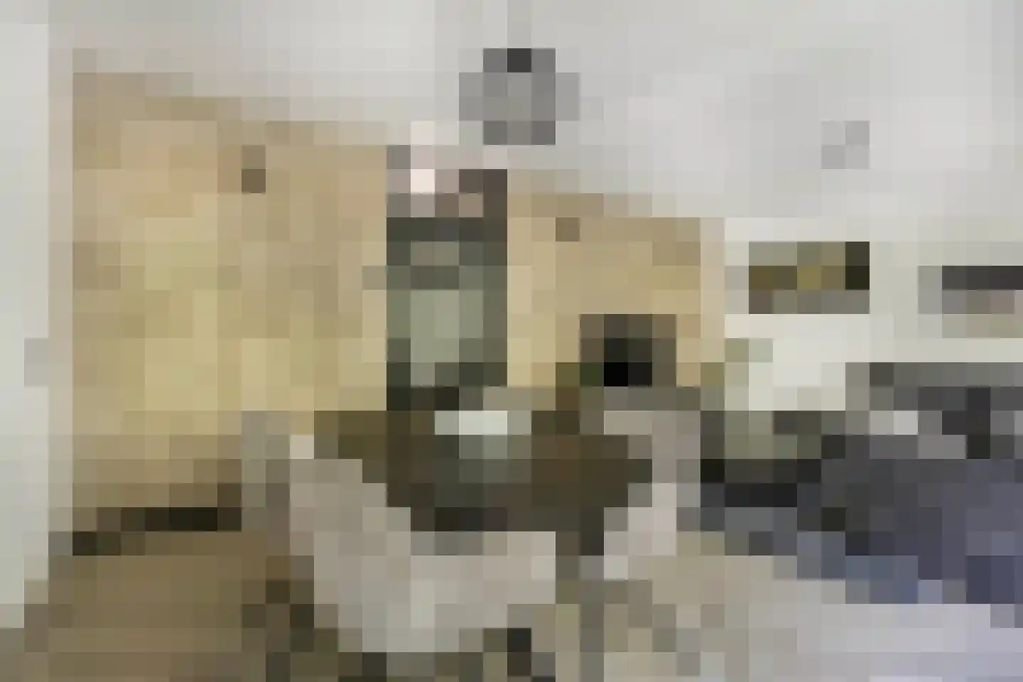 't Swin 3 Drachten thumbnail 14