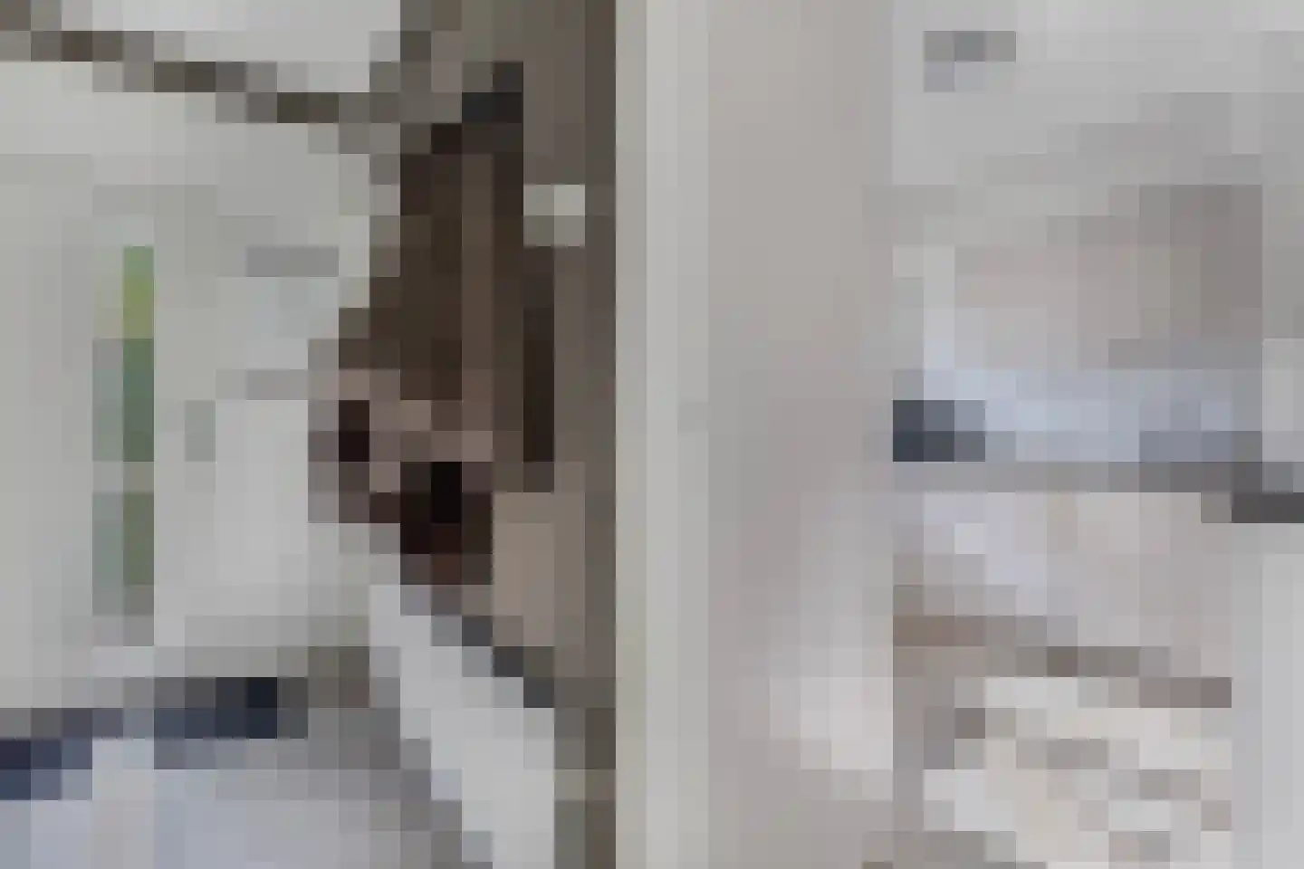 't Swin 3 Drachten thumbnail 15