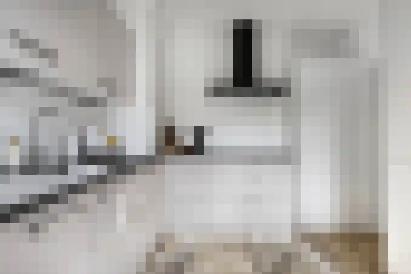 't Swin 3 Drachten thumbnail 17