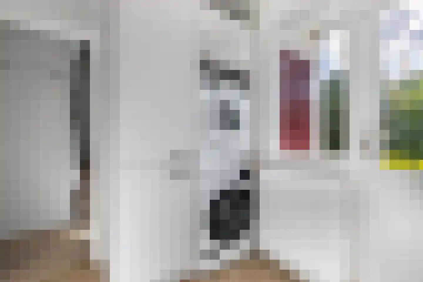 't Swin 3 Drachten thumbnail 18