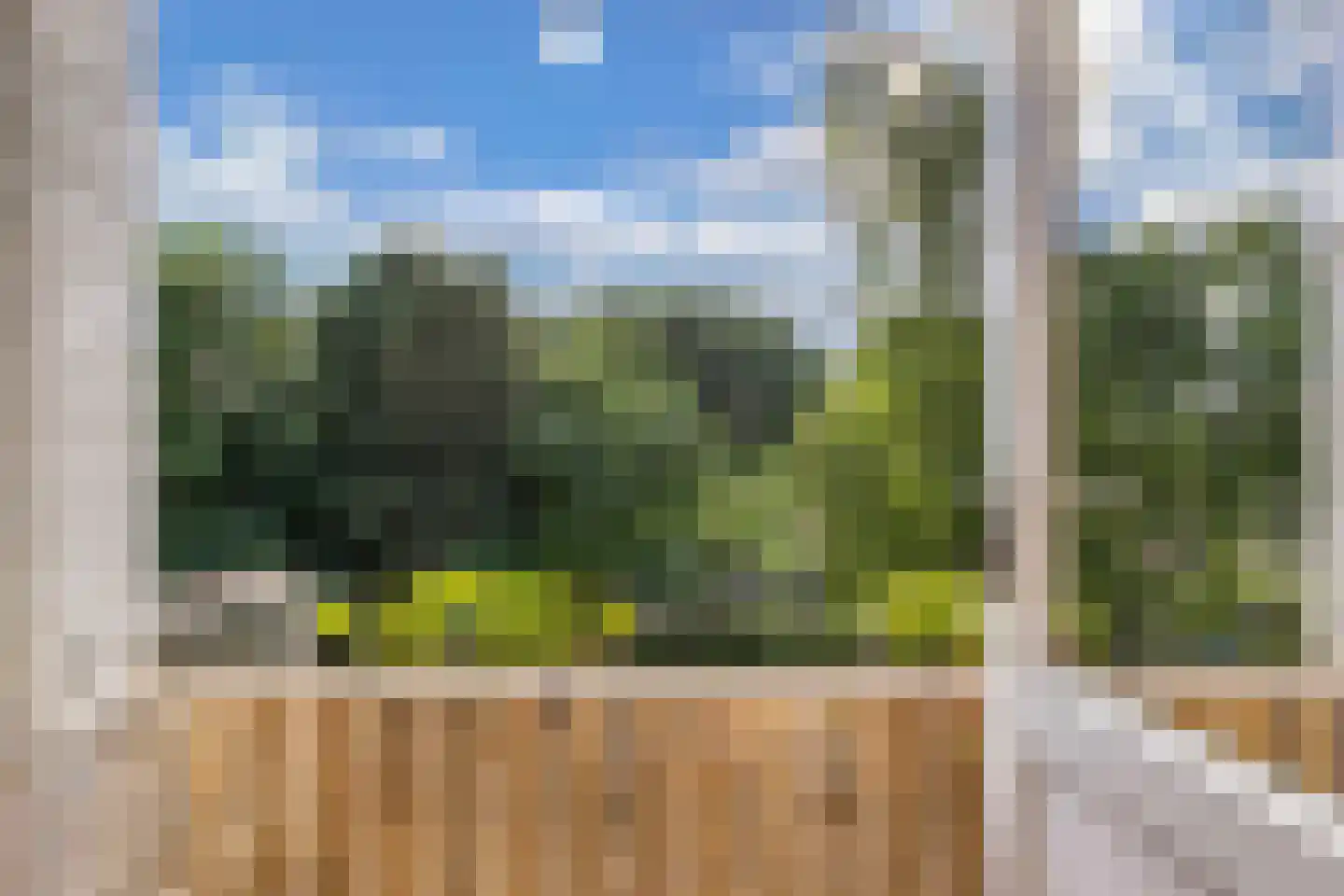 't Swin 3 Drachten thumbnail 20