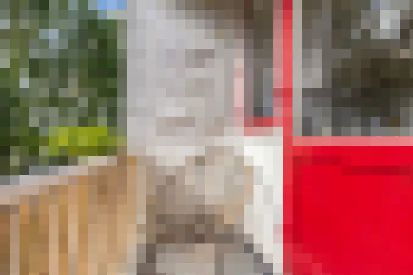 't Swin 3 Drachten thumbnail 21