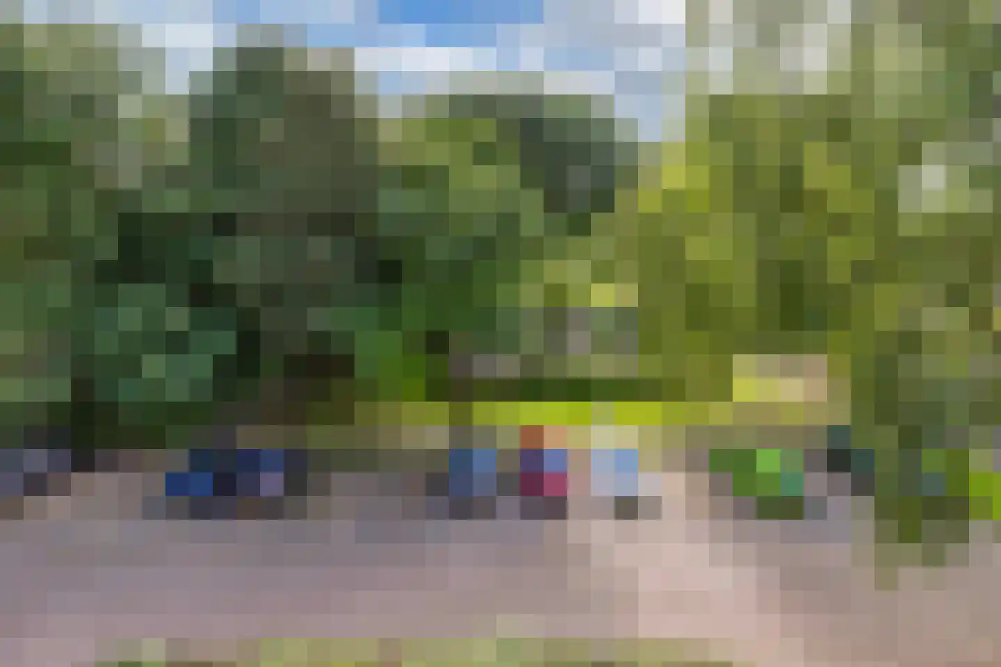 't Swin 3 Drachten thumbnail 22
