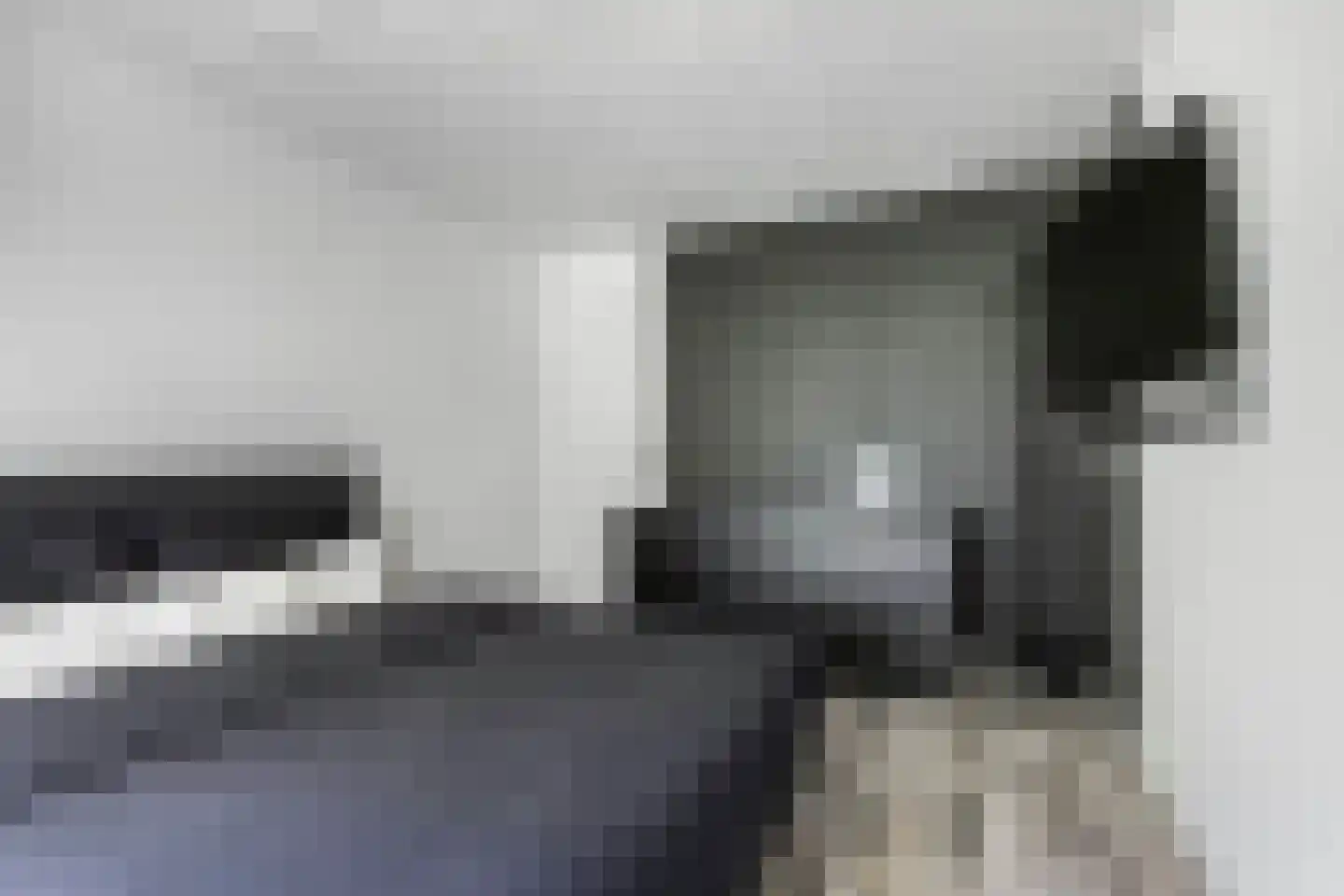 't Swin 3 Drachten thumbnail 25