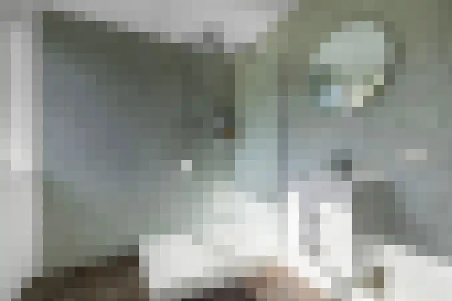 't Swin 3 Drachten thumbnail 29