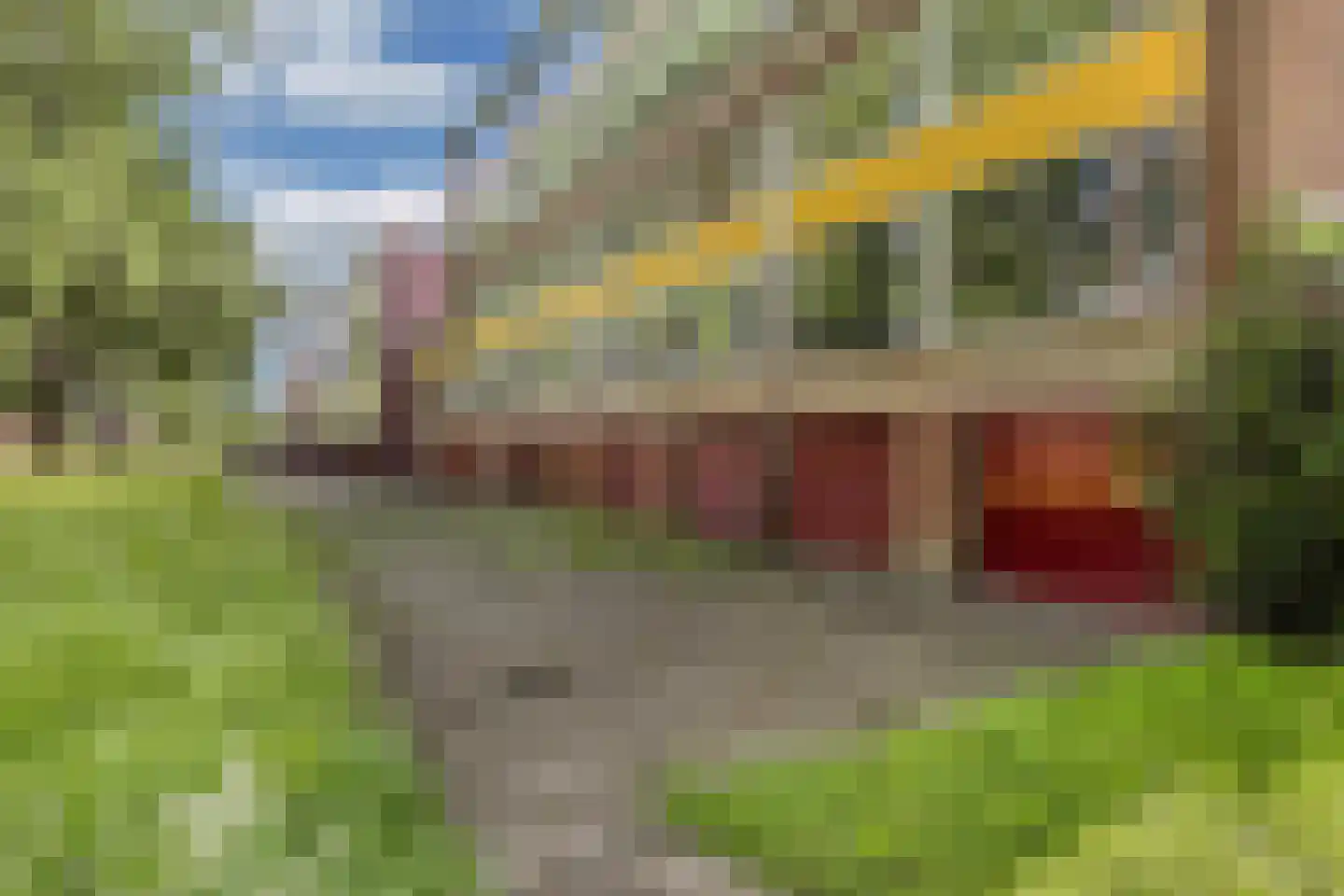 't Swin 3 Drachten thumbnail 33