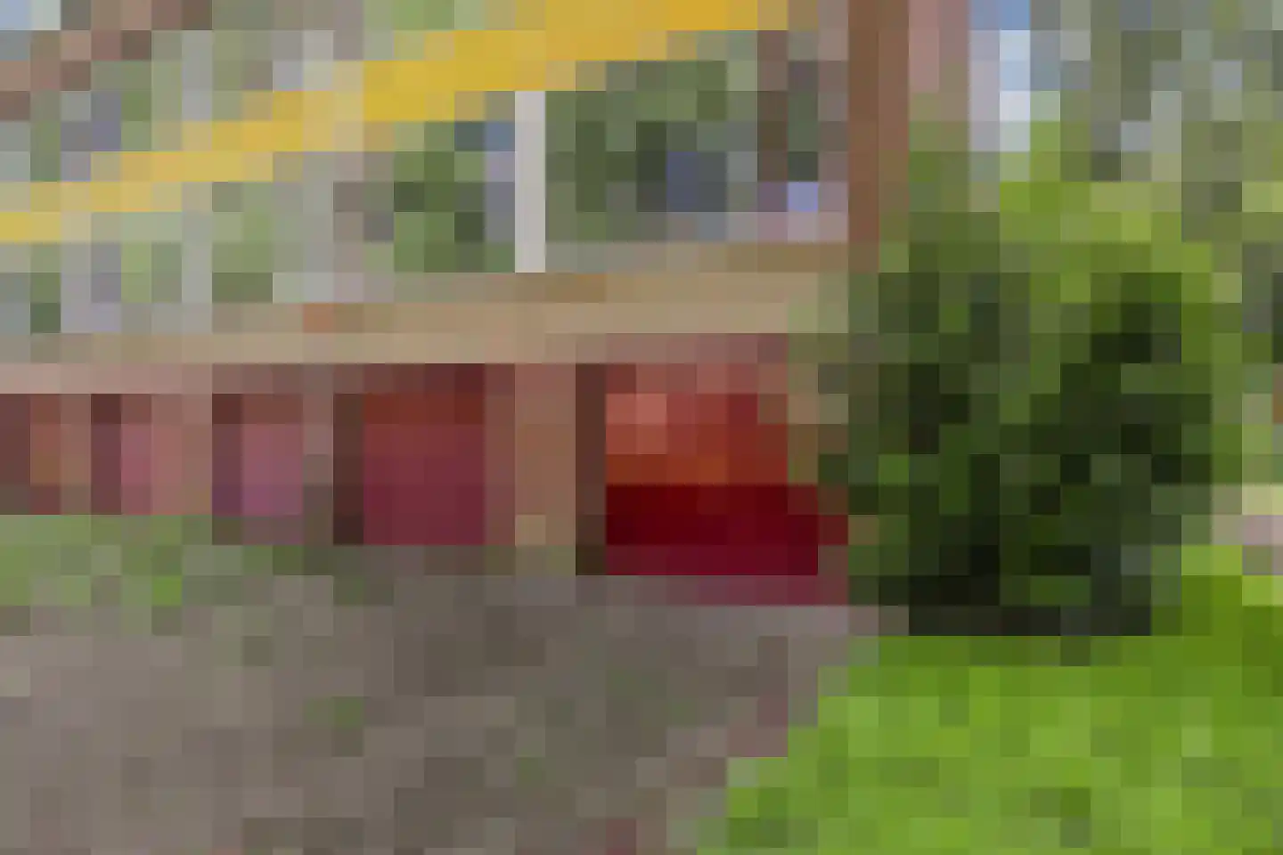 't Swin 3 Drachten thumbnail 34