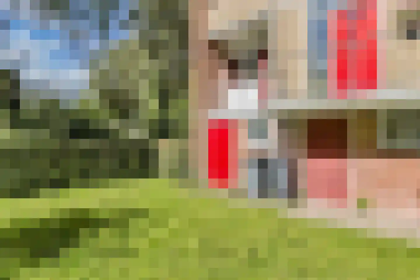 't Swin 3 Drachten thumbnail 35