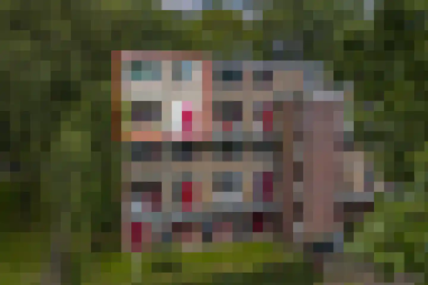 't Swin 3 Drachten thumbnail 5