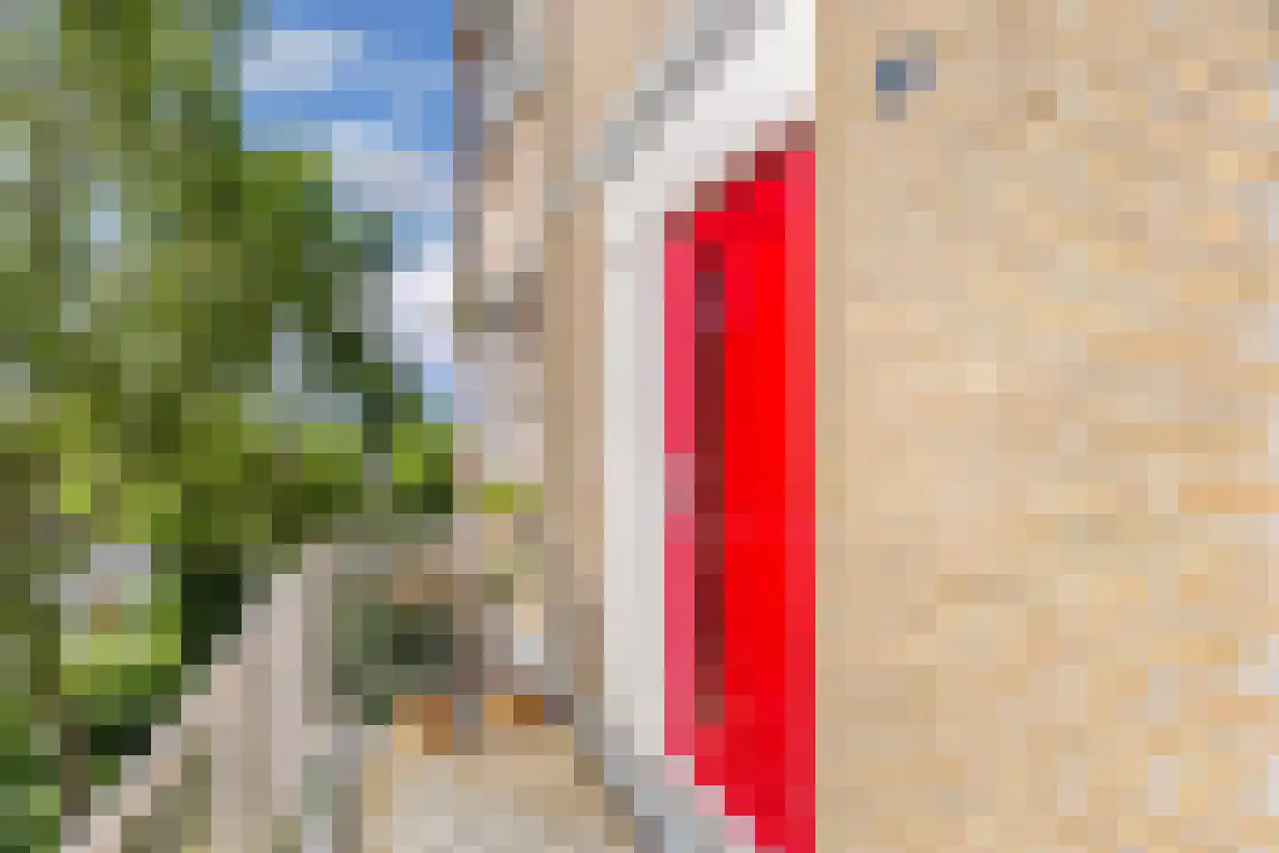 't Swin 3 Drachten thumbnail 6