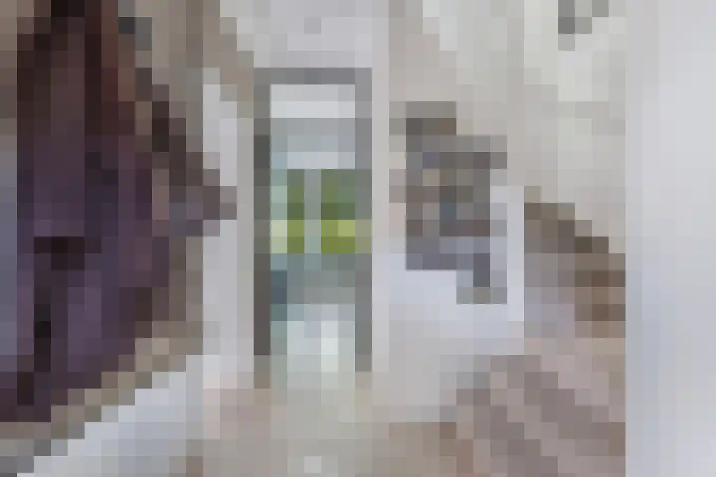 't Swin 3 Drachten thumbnail 9