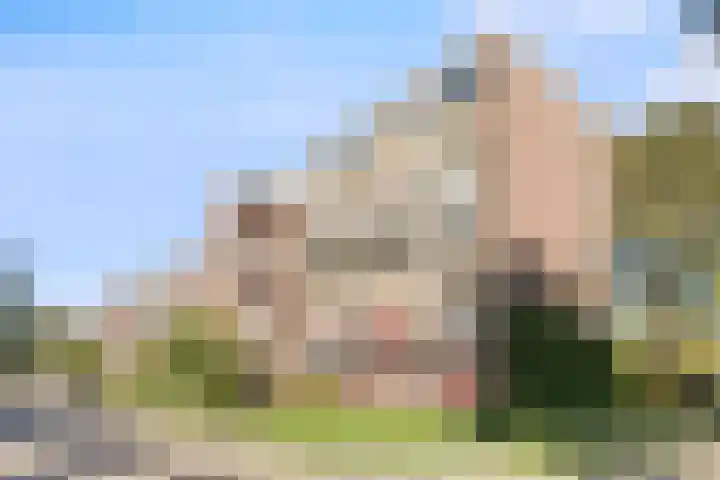 't Swin 43 Drachten thumbnail 36