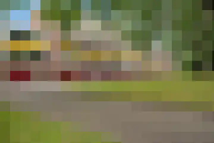 't Swin 43 Drachten thumbnail 4