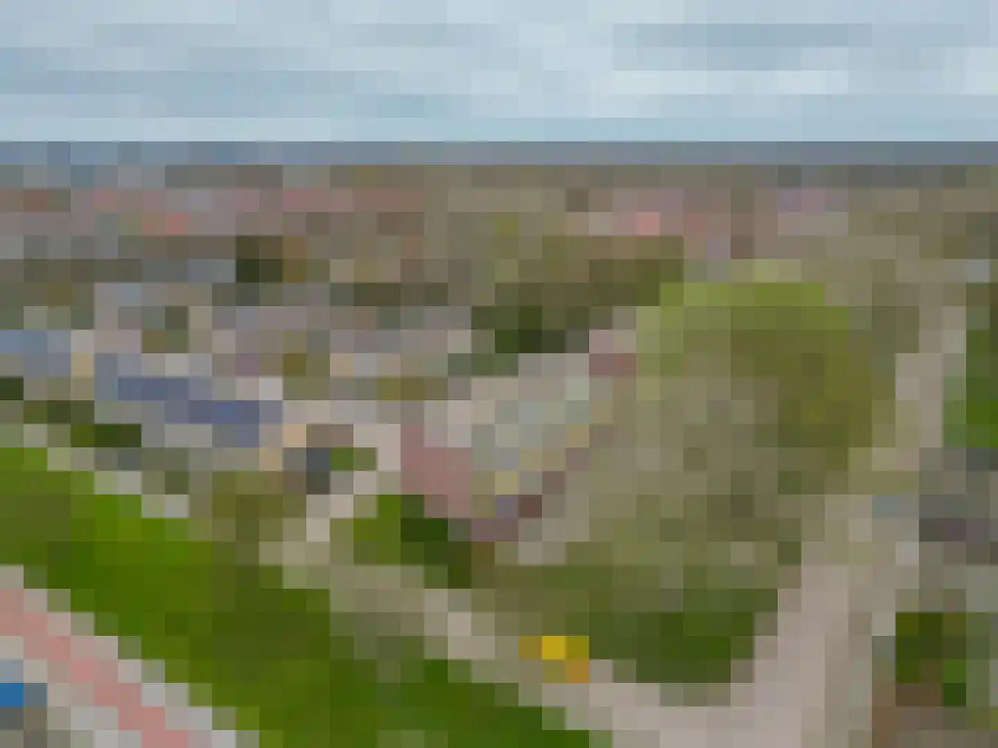 't Swin 57 Drachten thumbnail 36