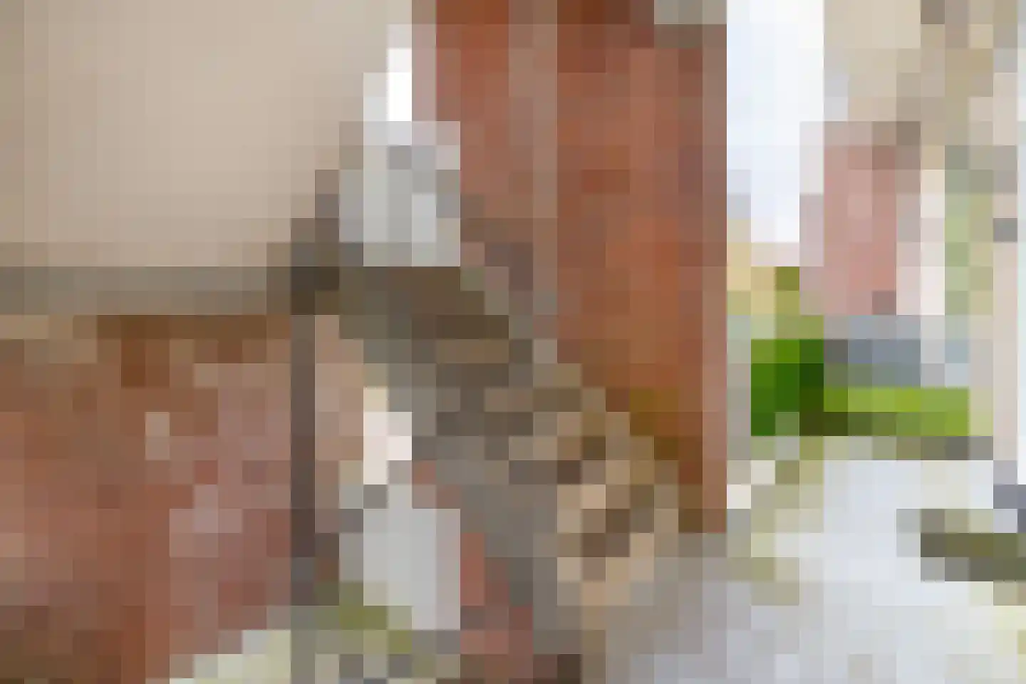't Swin 57 Drachten thumbnail 6