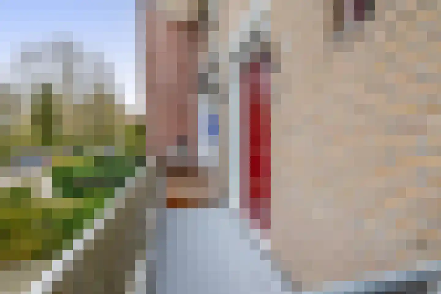 't Swin 57 Drachten thumbnail 7