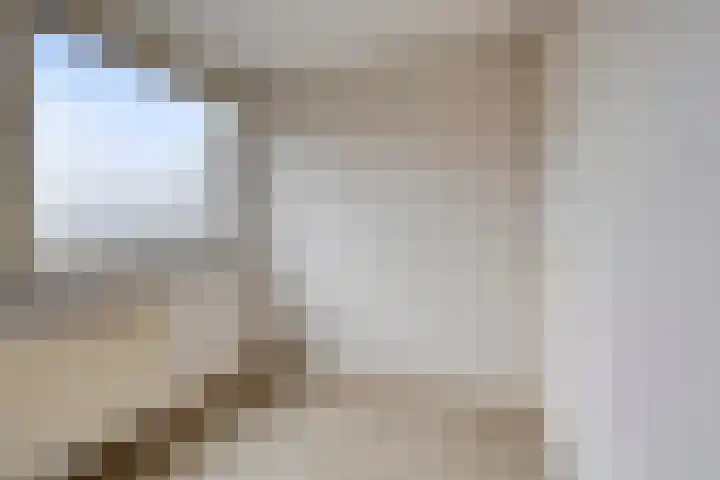 't Swin 7 Drachten thumbnail 14