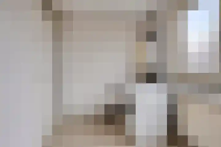 't Swin 7 Drachten thumbnail 15