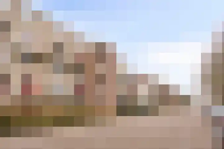 't Swin 7 Drachten thumbnail 18